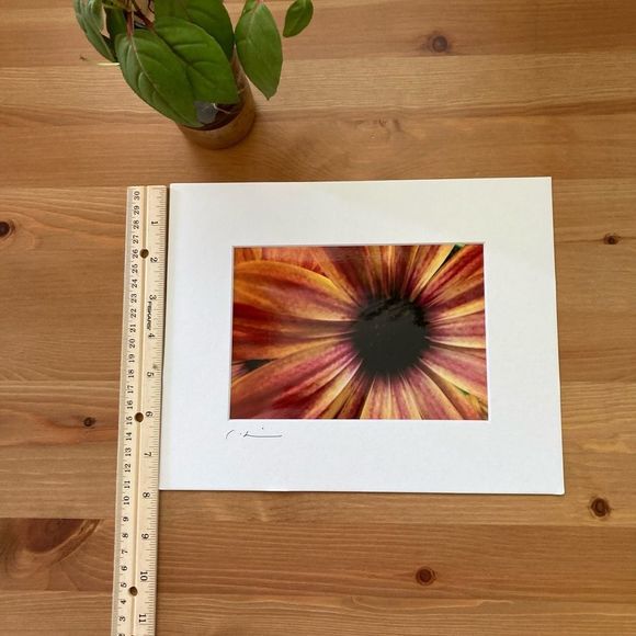 New Original Signed Photography - Picture 3 of 4